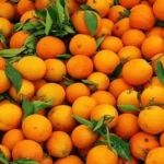 Orange Producing