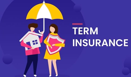 Term Insurance Plan
