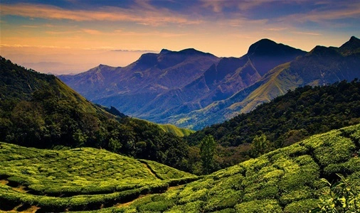 Nilgiri Hills