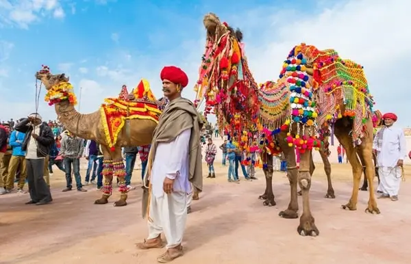 Pushkar Camel Fair