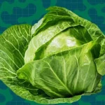 Cabbage