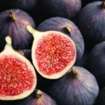 Fig