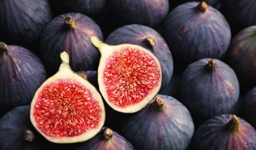 Fig