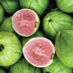 Guava