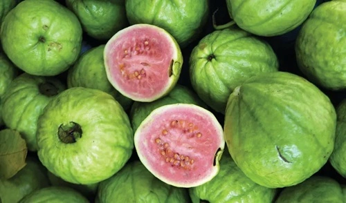 Guava