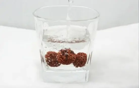 How to Check Rudraksha