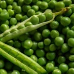 Pea