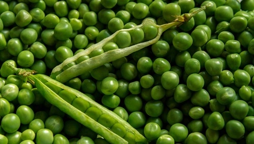 Pea