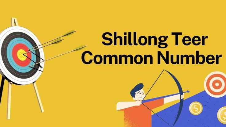 Shillong Teer Common Number