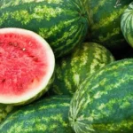 Watermelon