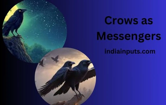 Crows as Messengers