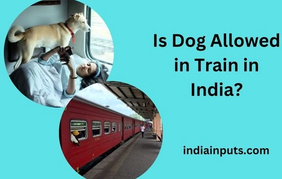 Dog Allowed in Train