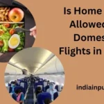 Home Food Allowed on Domestic Flights