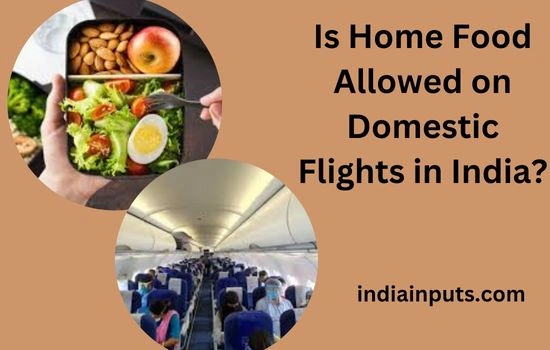 Home Food Allowed on Domestic Flights