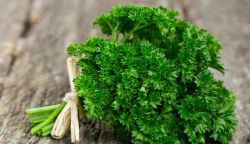 Parsley