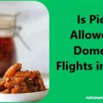 Pickle Allowed in Domestic Flights