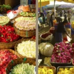 Gudimalkapur Flower Market Hyderabad