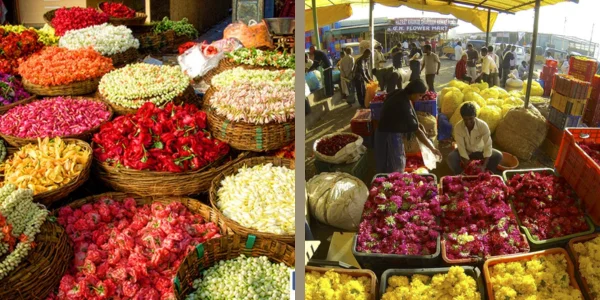 Gudimalkapur Flower Market Hyderabad