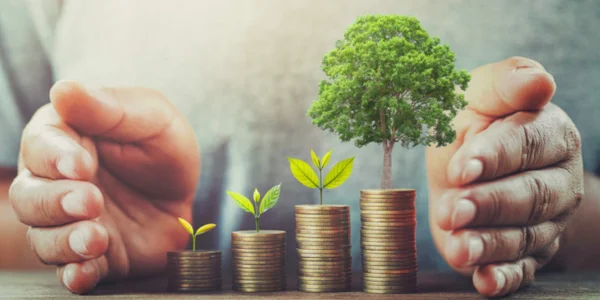 Create a Smart Investment Plan